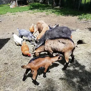  Hébergement de vacances Le Bellevue